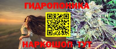 таблы Новокубанск