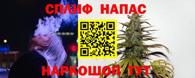 стаф Новодвинск