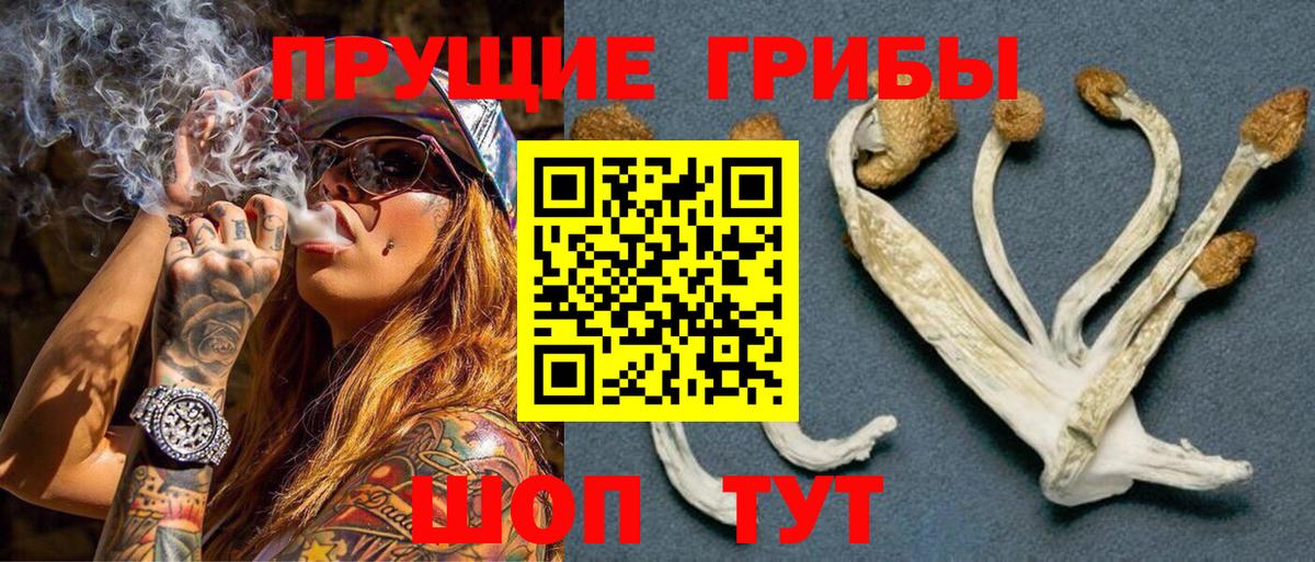 Псилоцибиновые грибы мухоморы Тайшет
