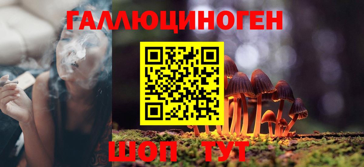 Тайшет  Галлюциногенные грибы Psilocybe  Вход с VPN  Галлюциногенные грибы MAGIC MUSHROOMS 